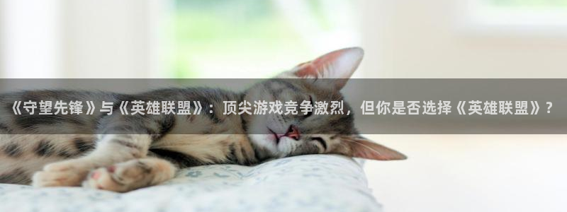 辉达娱乐登录网址：《守望先锋》与《英雄联盟》：顶尖游戏竞争激