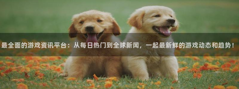 辉达娱乐官方注册登录：最全面的游戏资讯平台：从每日热门到全球