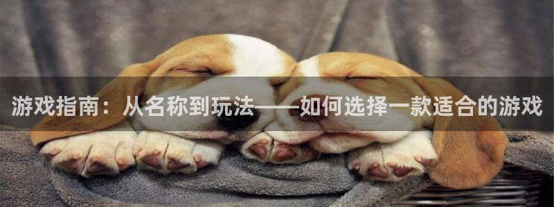 辉达娱乐娱乐是真的吗：游戏指南：从名称到玩法——如何选择一款