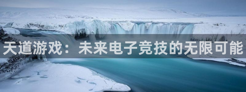 辉达娱乐平台注册：天道游戏：未来电子竞技的无限可能
