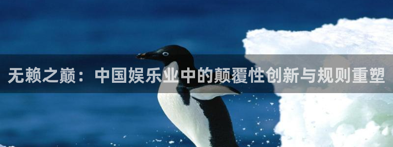 辉达娱乐平台注册资金多少：无赖之巅：中国娱乐业中的颠覆性创新