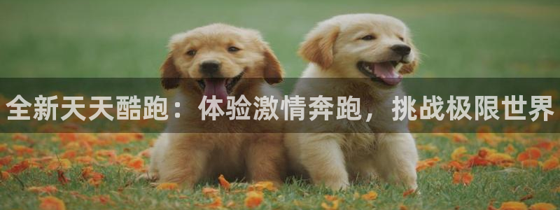 辉达娱乐注册账号：全新天天酷跑：体验激情奔跑，挑战极限世界