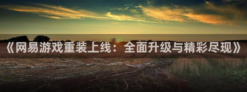 辉达娱乐官方注册登录：《网易游戏重装上线：全面升级与精彩尽现