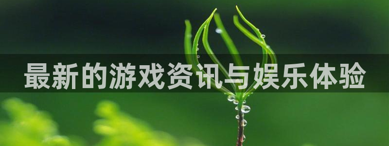 辉达娱乐注册地址：最新的游戏资讯与娱乐体验