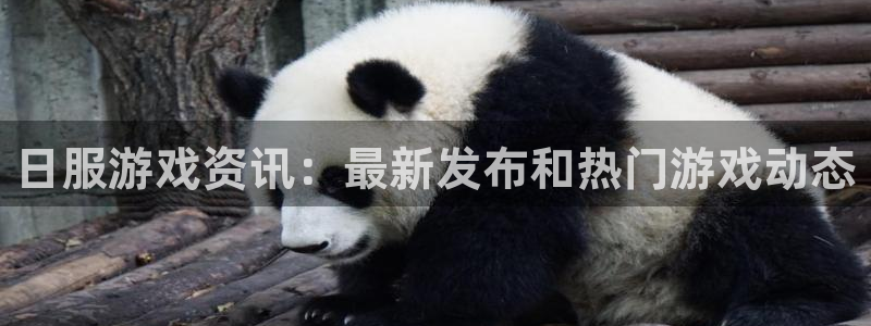 辉达娱乐娱乐是真的吗：日服游戏资讯：最新发布和热门游戏动态