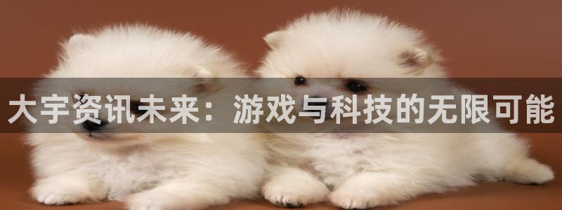 辉达娱乐平台官网注册：大宇资讯未来：游戏与科技的无限可能