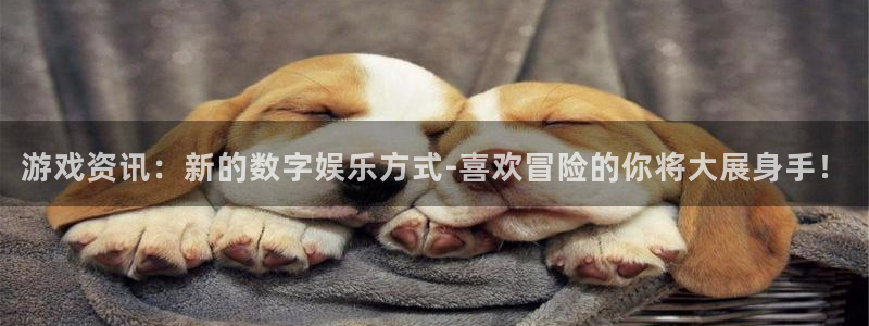 辉达娱乐注册官方登录app：游戏资讯：新的数字娱乐方式-喜欢