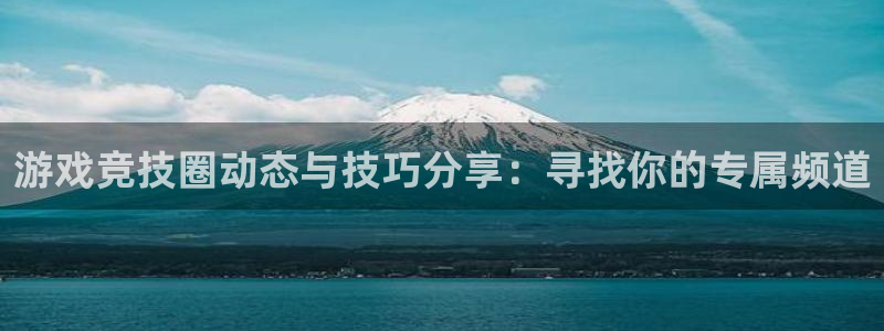 辉达娱乐注册平台