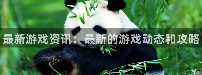 辉达娱乐怎么样可靠吗：最新游戏资讯：最新的游戏动态和攻略