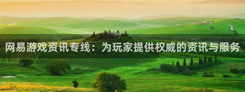 辉达娱乐公司简介图片：网易游戏资讯专线：为玩家提供权威的资讯