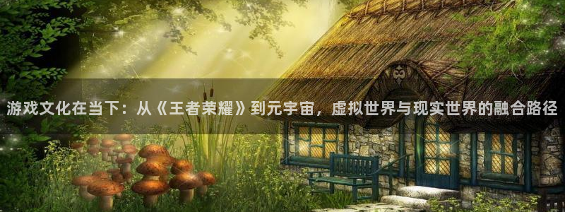 辉达娱乐代理登陆：游戏文化在当下：从《王者荣耀》到元宇宙，虚