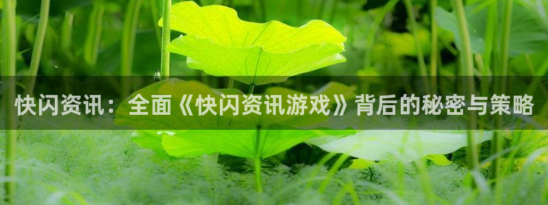 辉达娱乐测速