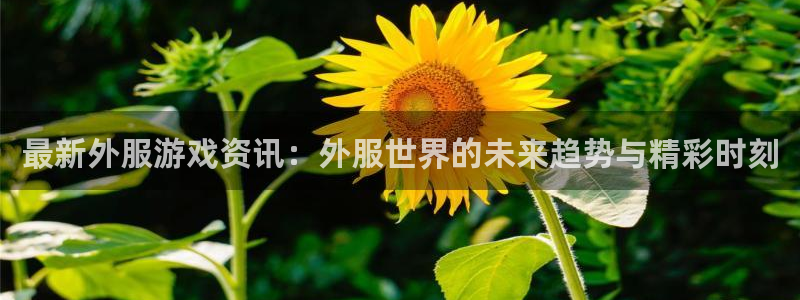 辉达娱乐官网：最新外服游戏资讯：外服世界的未来趋势与精彩时刻