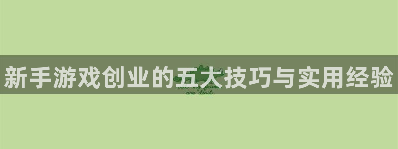 辉达娱乐集团：新手游戏创业的五大技巧与实用经验