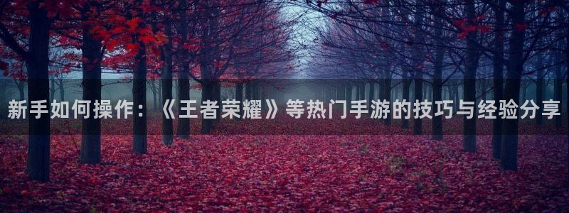 辉达娱乐手机网页版登录：新手如何操作：《王者荣耀》等热门手游